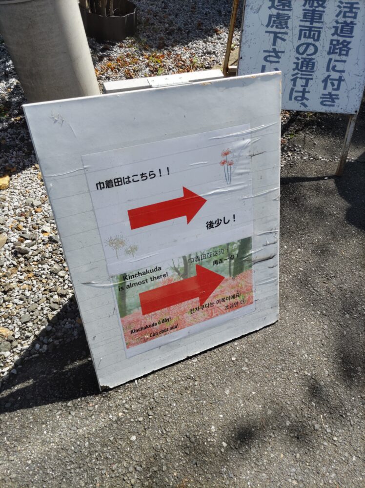 巾着田の案内看板