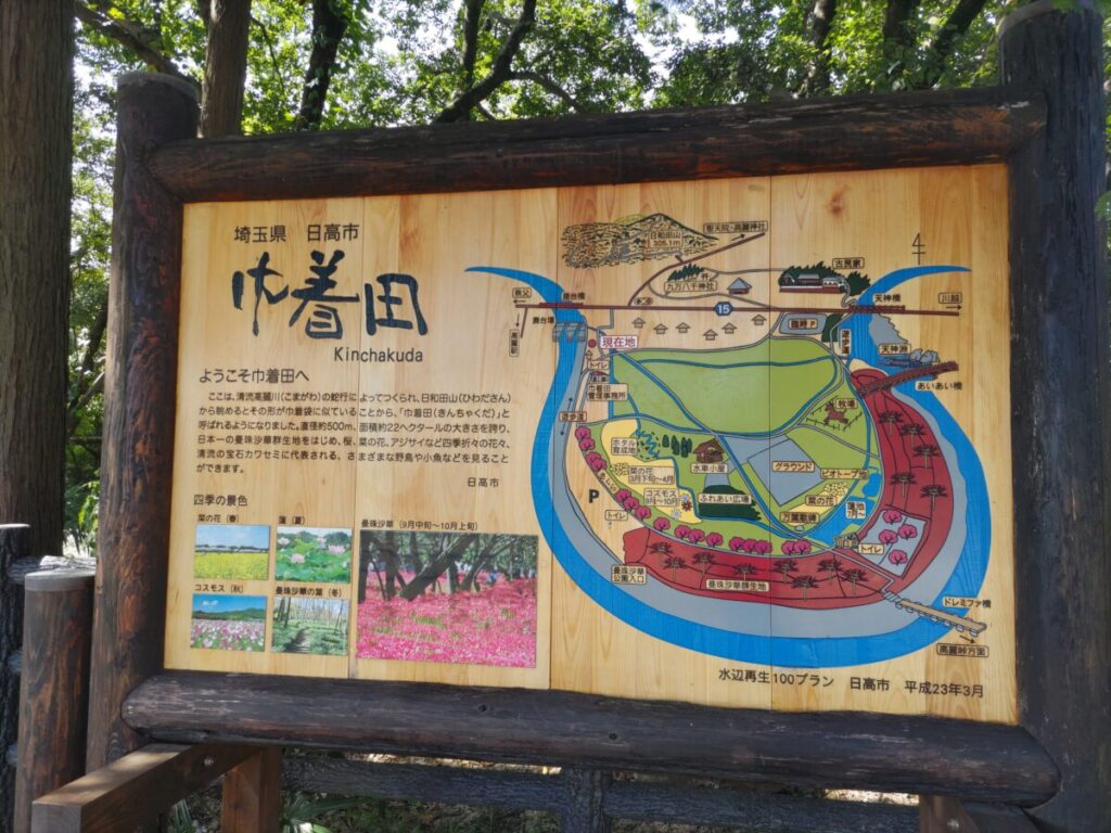 巾着田の地図イラスト