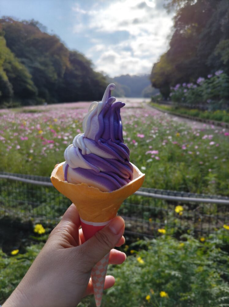 くりはま花の国のミックスソフトクリーム