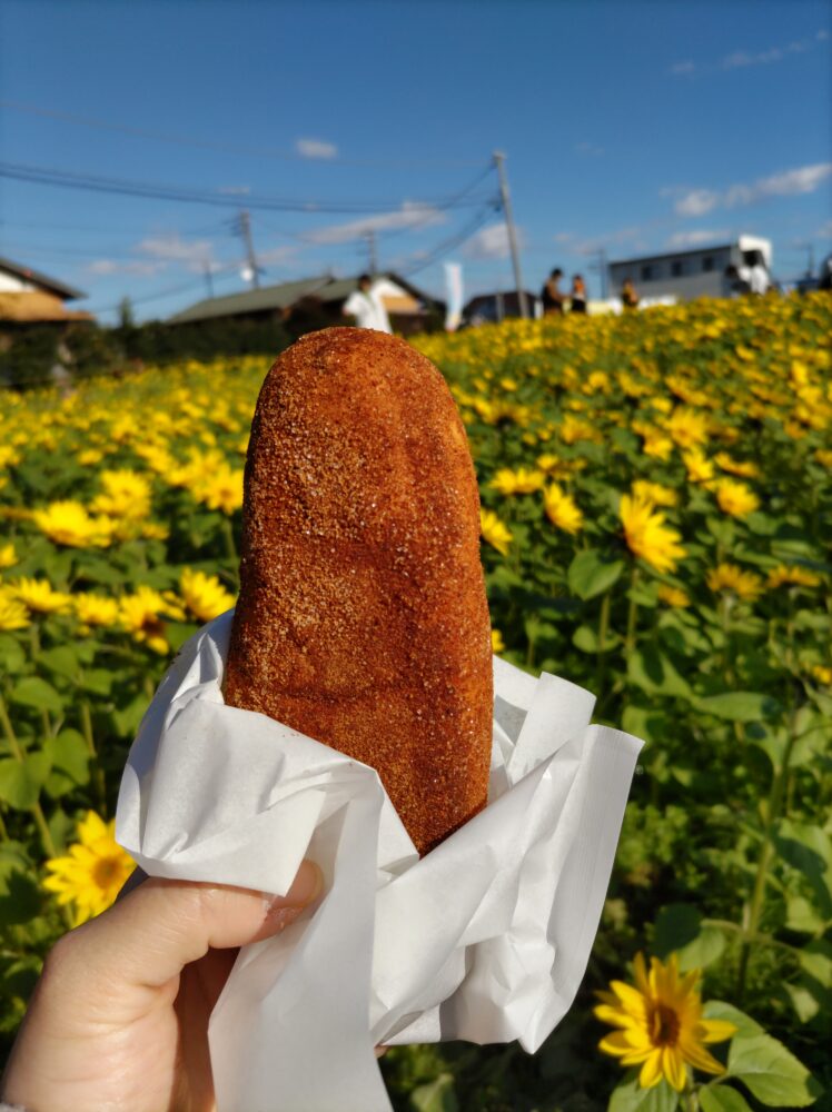 揚げパンとひまわり
