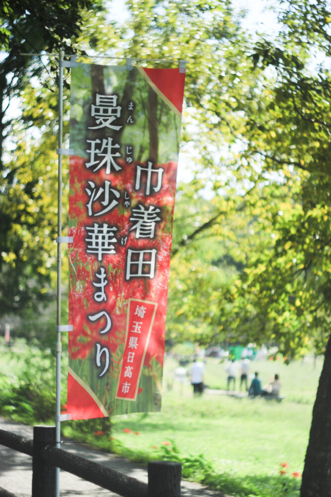 巾着田曼殊沙華まつりののぼり