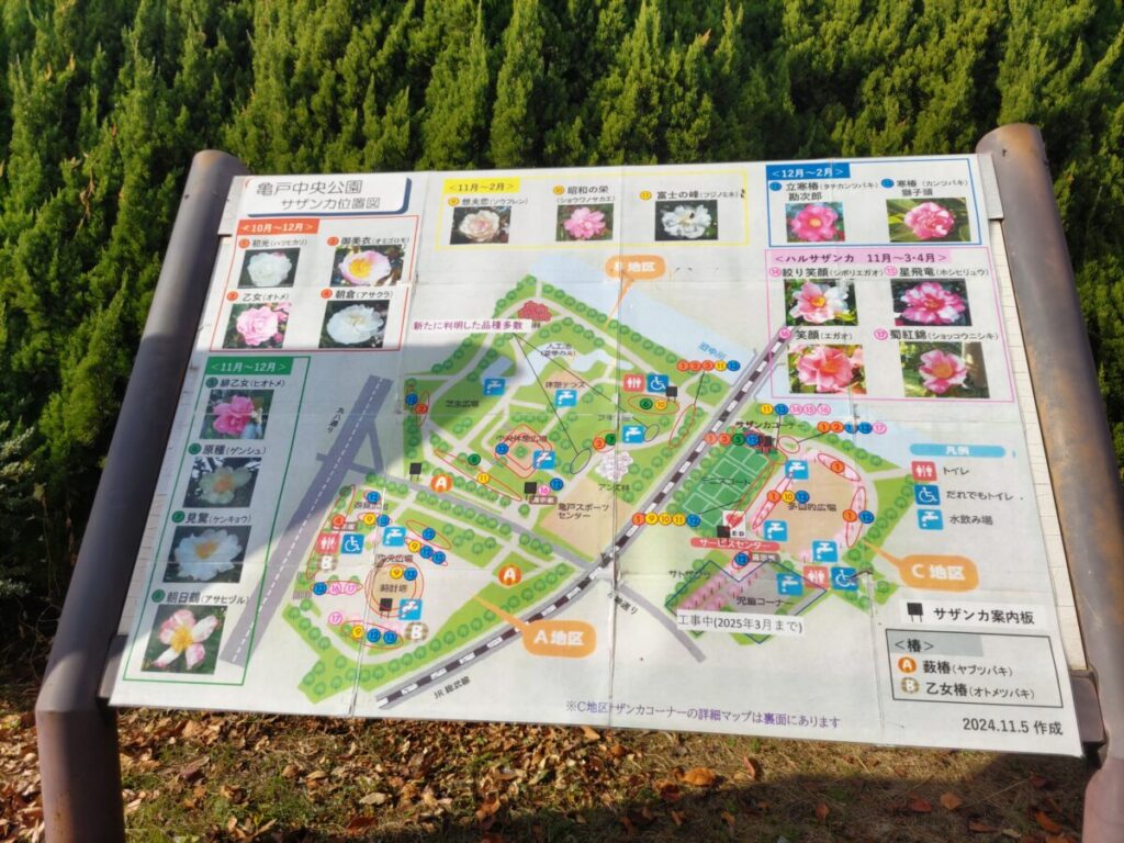 亀戸中央公園のサザンカマップ